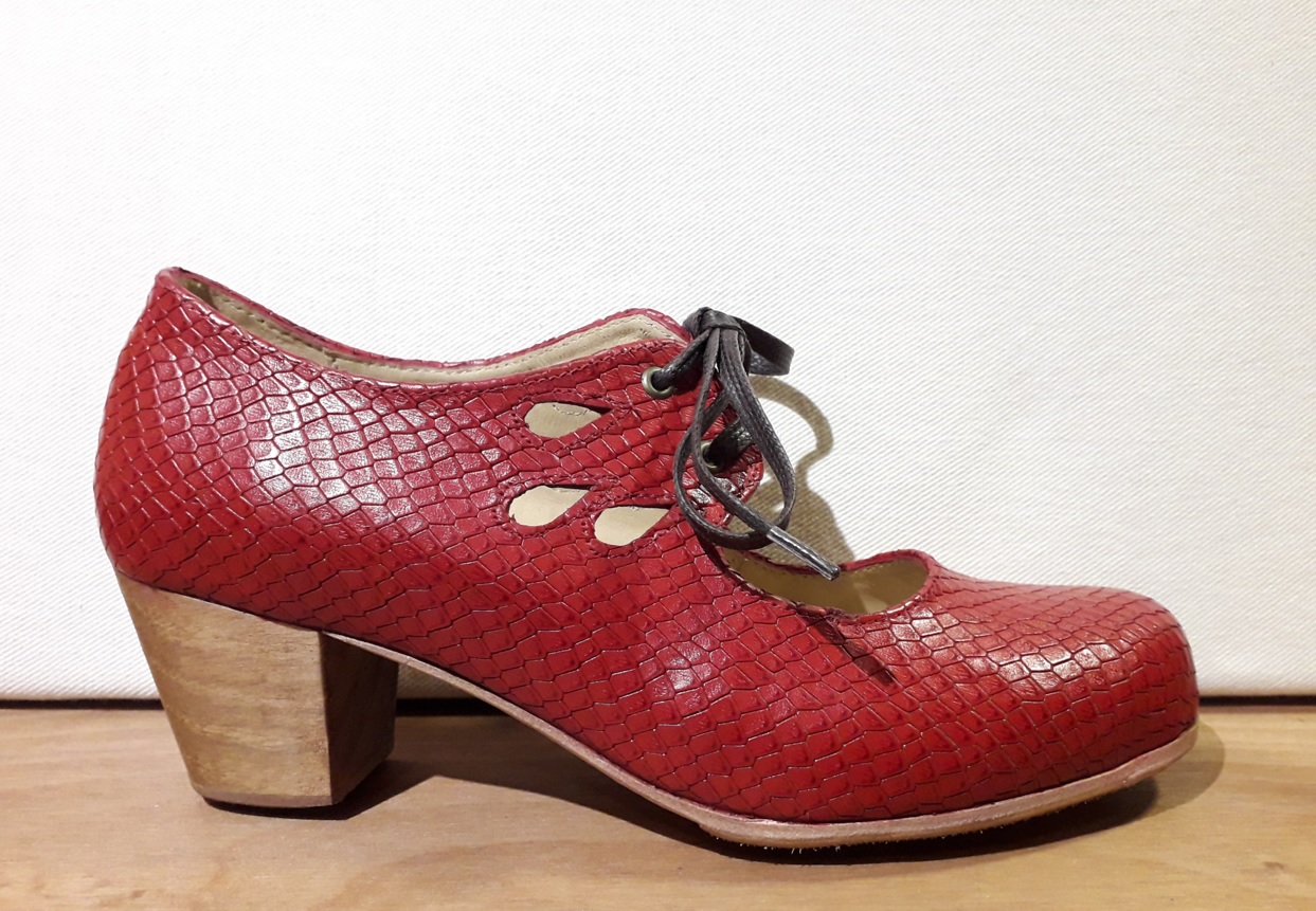 Zapatos Flamenca 15