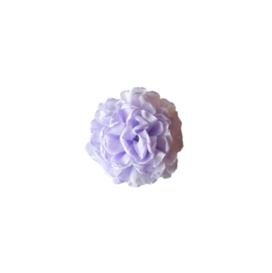 AF25B Rosa Gasa lila V2024