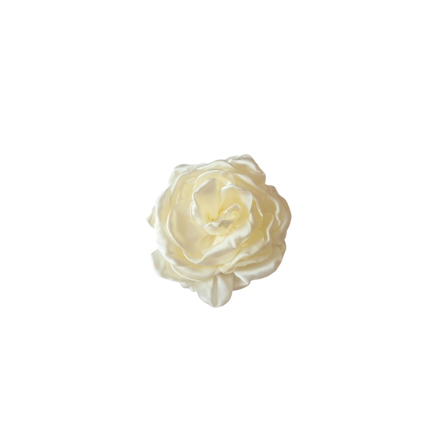 AF25J Camelia mediana crema f1