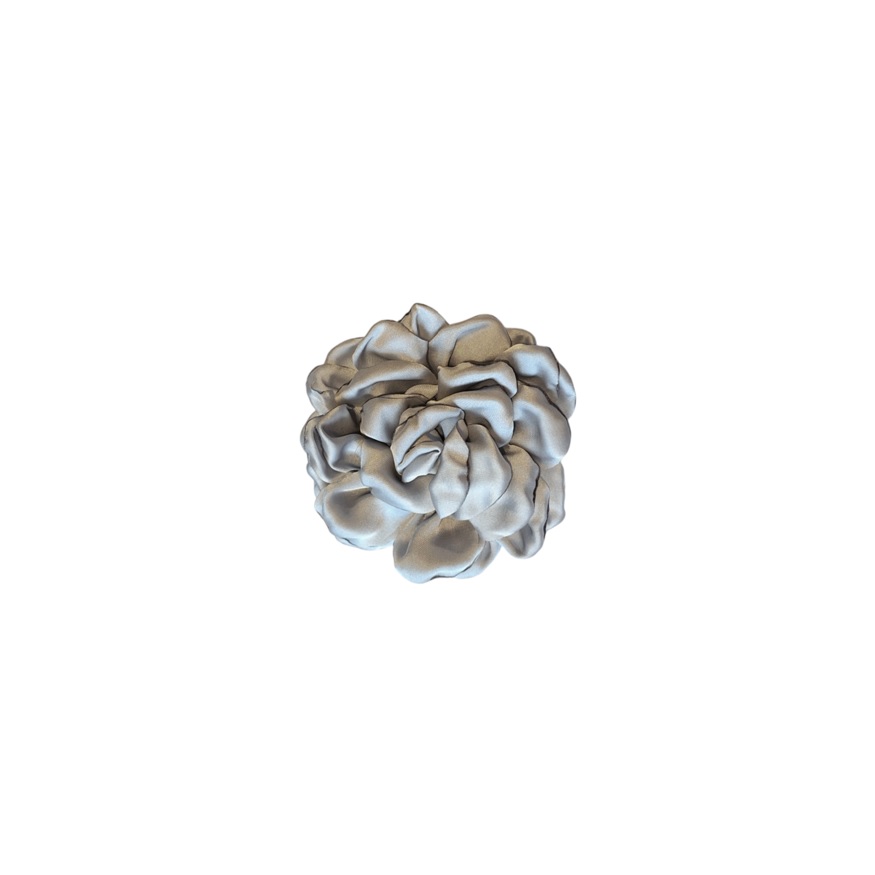 AF25J Camelia mediana gris f1 v2