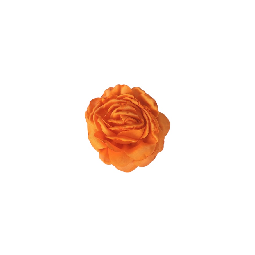 AF25J Camelia mediana naranjo f1