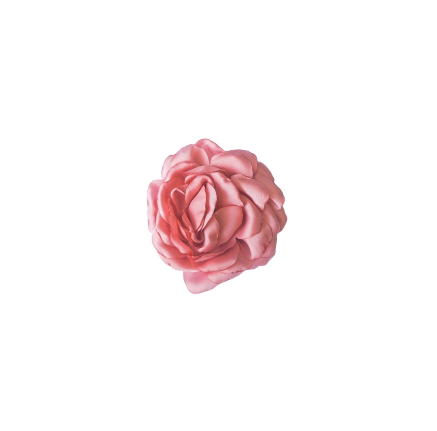 AF25J Camelia mediana rosado f1