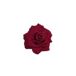 z. Rosa Aterciopelada 9 cm